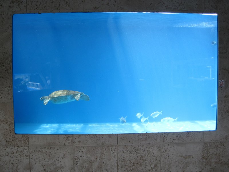 Curacao 04-12 221.JPG